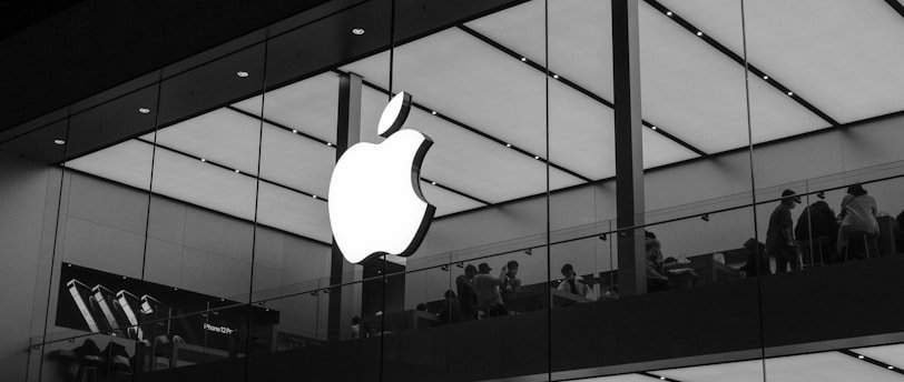 photo 1614312385003 dcea7b8b6ab6